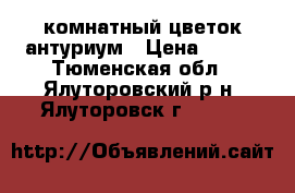 комнатный цветок антуриум › Цена ­ 450 - Тюменская обл., Ялуторовский р-н, Ялуторовск г.  »    